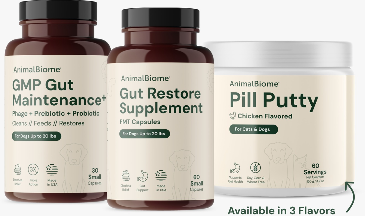 Rebalance Your Pet’s Microbiome with Our 90-Day Gut Restoration