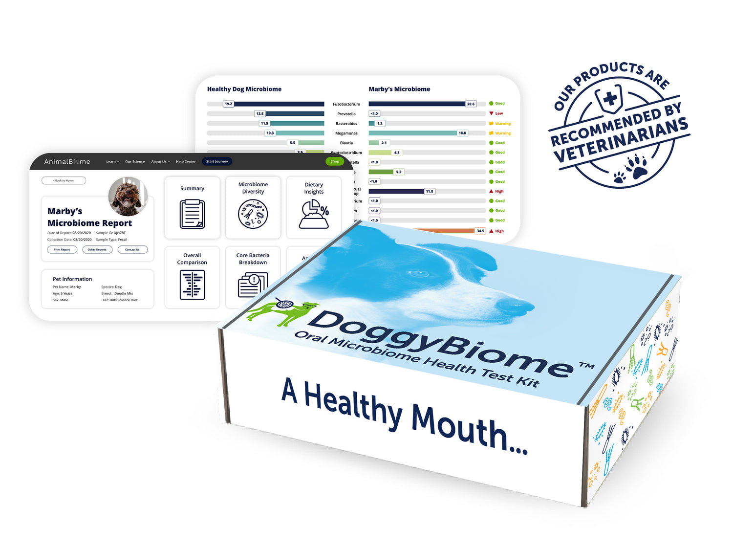 Oral Health Test for Dogs