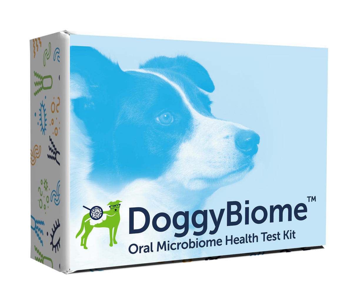 Oral Health Test for Dogs