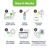 Gut Health Test for Cats