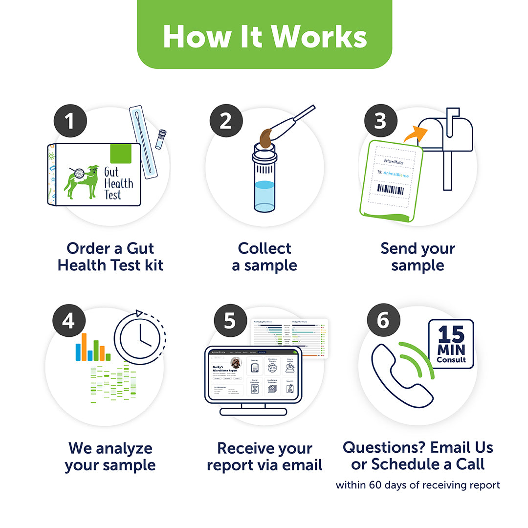 Gut Health Test for Dogs