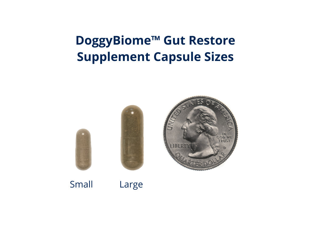 Gut Restore Supplement from Raw-Fed Dogs